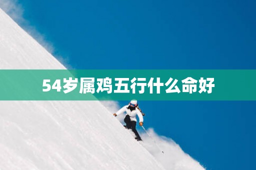 54岁属鸡五行什么命好