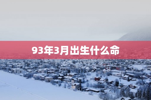 93年3月出生什么命