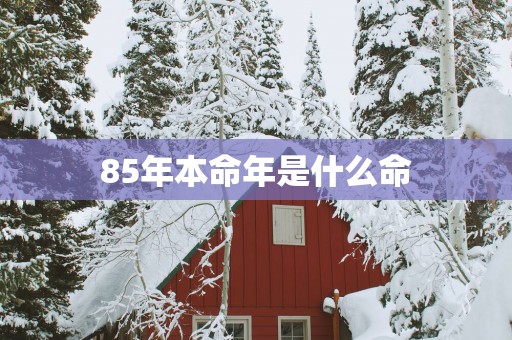 85年本命年是什么命
