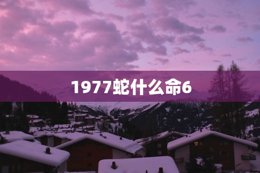 1977蛇什么命6