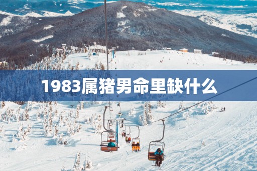1983属猪男命里缺什么