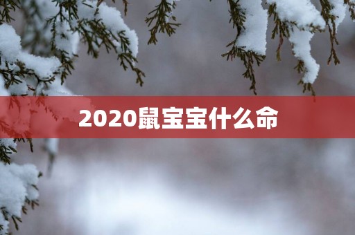 2025鼠宝宝什么命