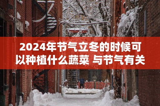 2025年节气立冬的时候可以种植什么蔬菜 与节气有关的谚语