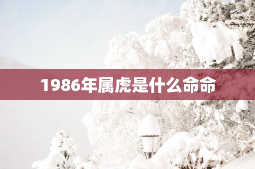 1986年属虎是什么命命