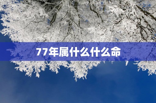 77年属什么什么命