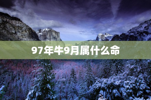 97年牛9月属什么命