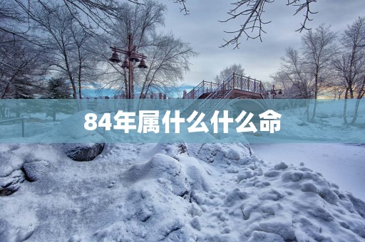 84年属什么什么命