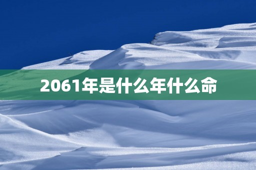 2061年是什么年什么命
