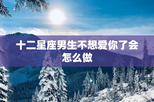 十二星座男生不想爱你了会怎么做