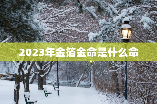 2025年金箔金命是什么命