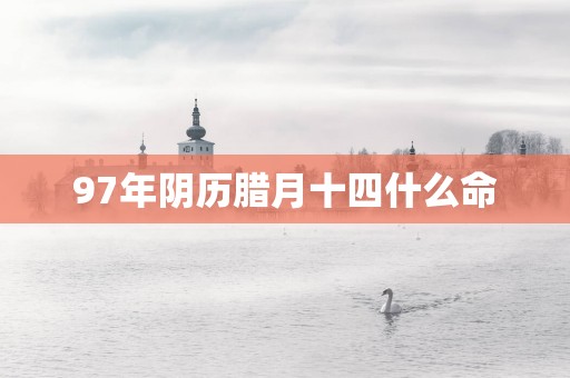97年阴历腊月十四什么命