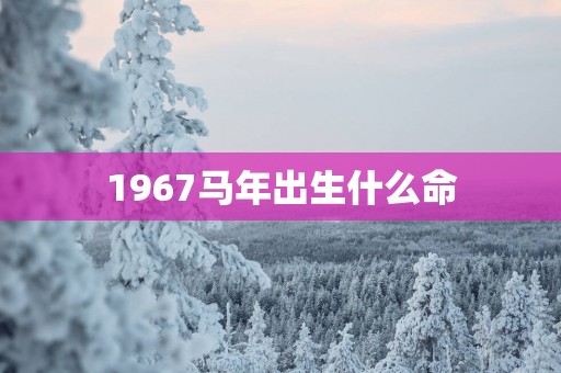1967马年出生什么命