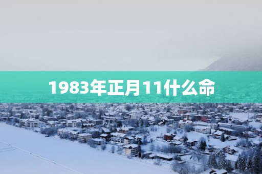 1983年正月11什么命