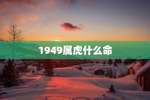 1949属虎什么命
