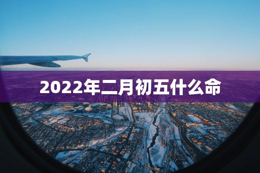 2025年二月初五什么命