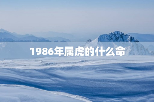 1986年属虎的什么命