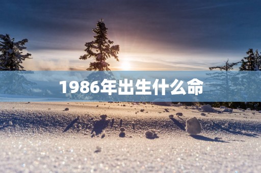1986年出生什么命