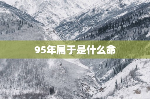 95年属于是什么命
