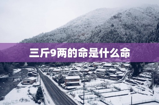 三斤9两的命是什么命