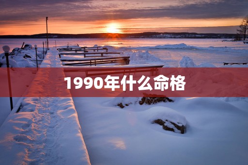 1990年什么命格