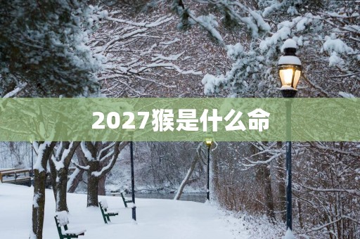 2027猴是什么命