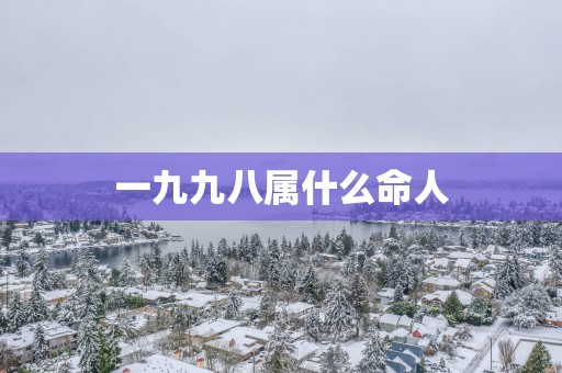 一九九八属什么命人