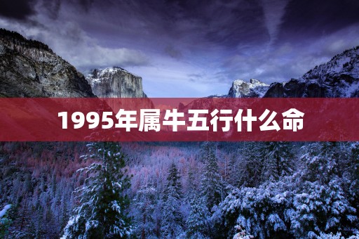 1995年属牛五行什么命