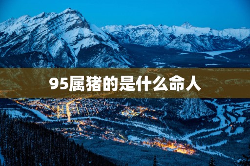 95属猪的是什么命人