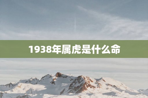 1938年属虎是什么命