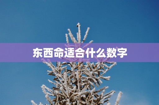 东西命适合什么数字