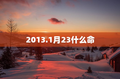 2013.1月23什么命