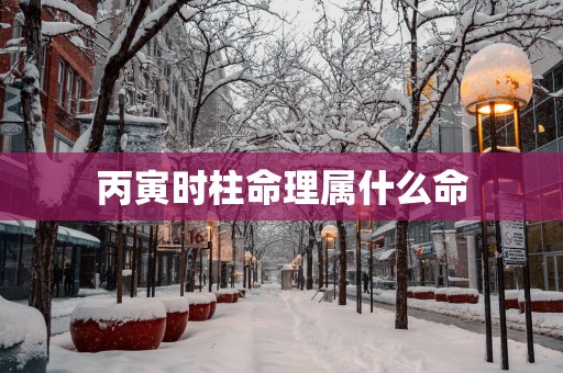 丙寅时柱命理属什么命