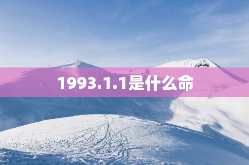 1993.1.1是什么命