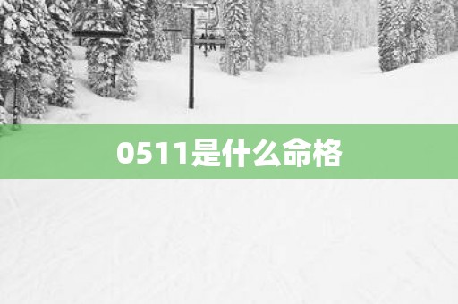 0511是什么命格