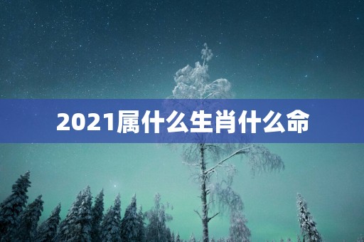 2025属什么生肖什么命