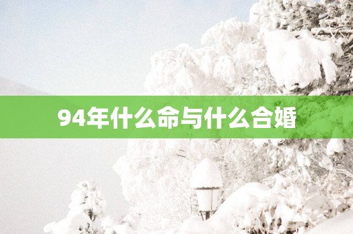 94年什么命与什么合婚