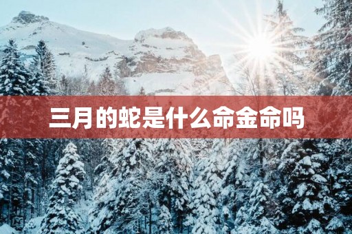 三月的蛇是什么命金命吗
