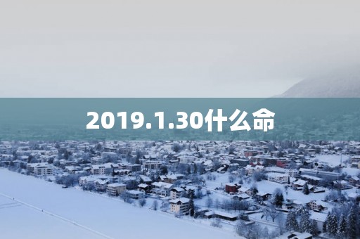 2019.1.30什么命