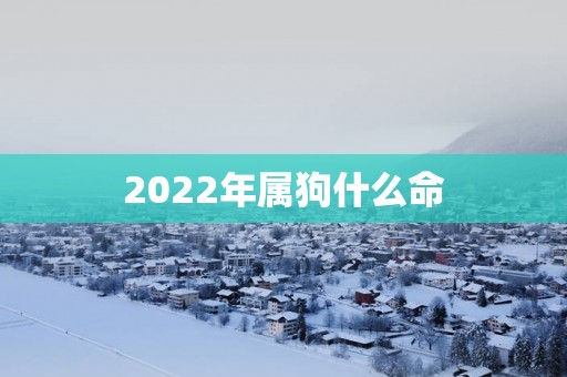 2025年属狗什么命