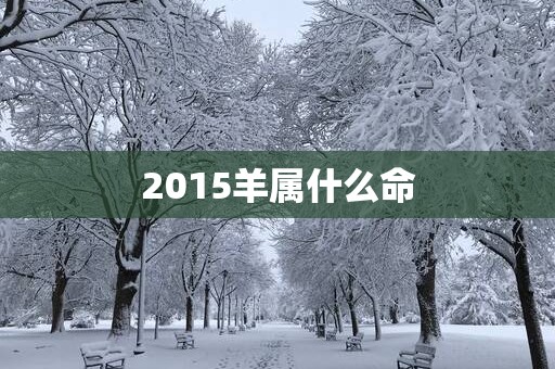 2015羊属什么命