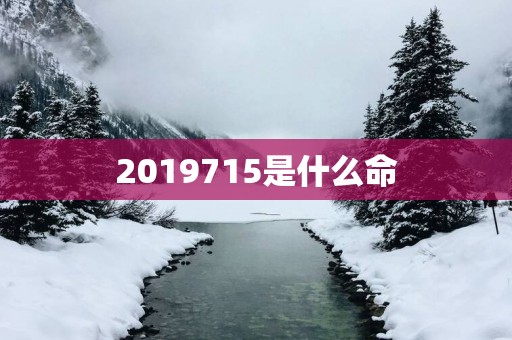 2019715是什么命