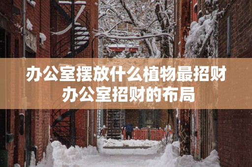 办公室摆放什么植物最招财 办公室招财的布局