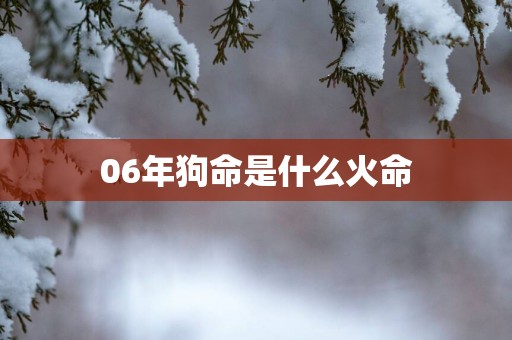 06年狗命是什么火命