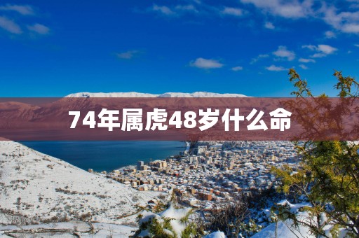 74年属虎48岁什么命