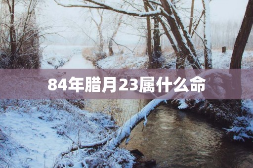 84年腊月23属什么命