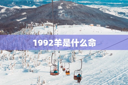 1992羊是什么命