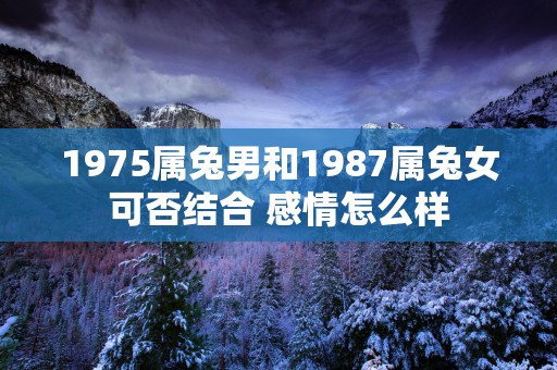 1975属兔男和1987属兔女可否结合 感情怎么样
