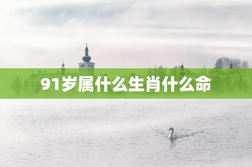 91岁属什么生肖什么命