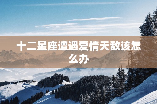 十二星座遭遇爱情天敌该怎么办