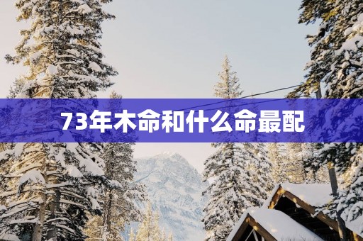 73年木命和什么命最配